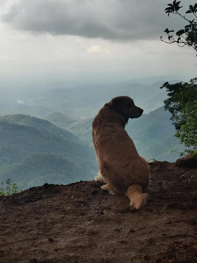 Mountain Villa Vagamon