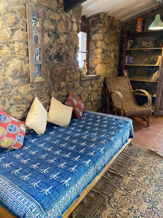 Mountain Villa Vagamon India
