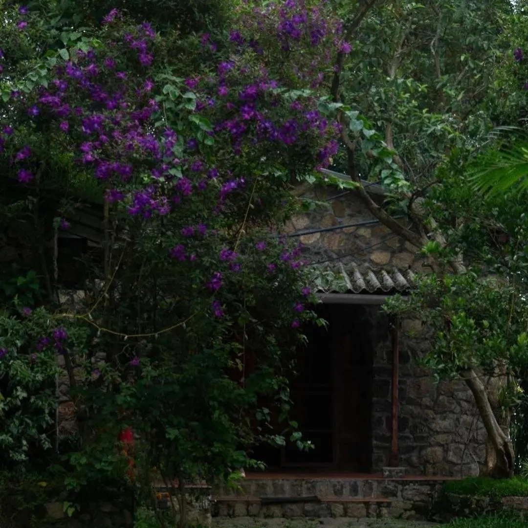 Mountain Villa Vagamon India