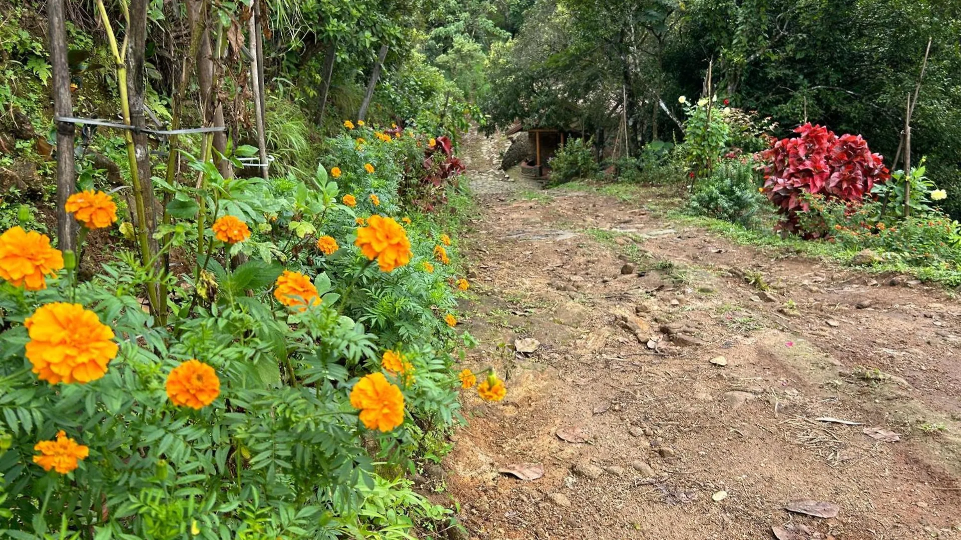 Mountain Villa Vagamon Lodge